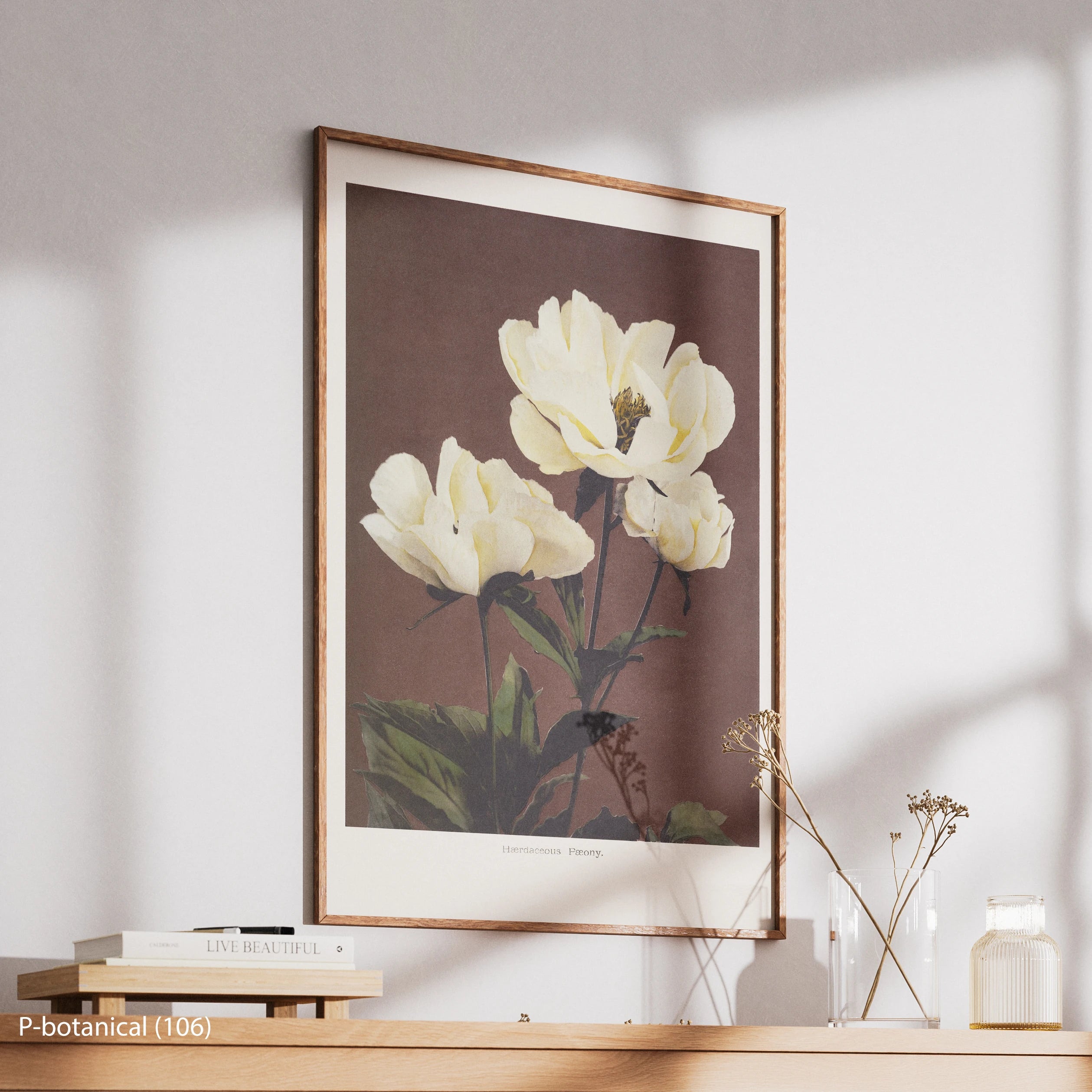 White Flower Botanical Modern Wall Art Canvas Print Floral Illustration Dark Background Wood Frame Decor