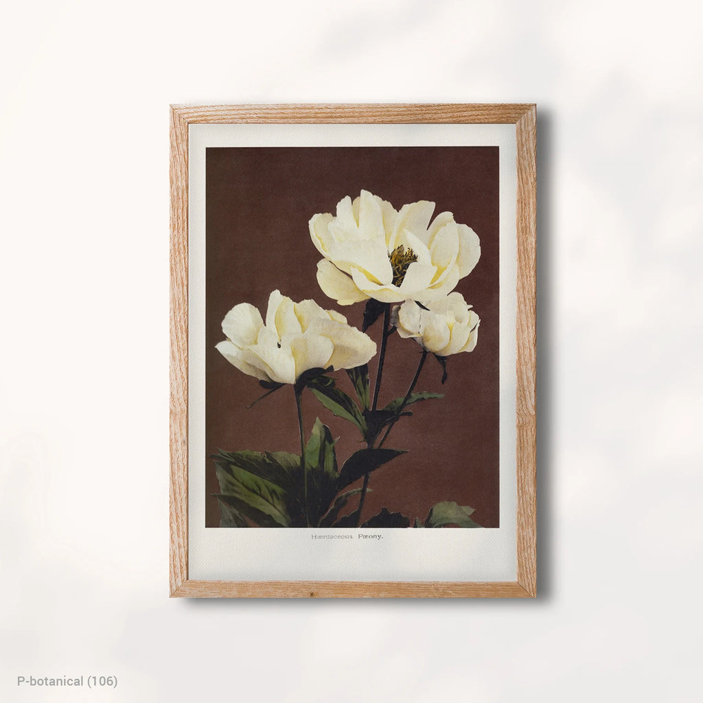 White Flower Botanical Modern Wall Art Canvas Print Floral Illustration Dark Background Wood Frame Decor